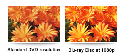 Standard DVD resolution, Blu-ray Disc at 1080p